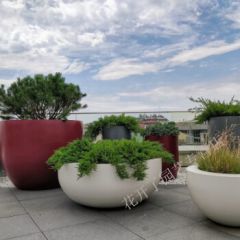 玻璃钢大圆形花盆盆景组合商场美陈户外陶瓷摆件简约树脂花钵 白色200*高100cm 大