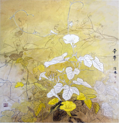 1635162744429574.png 012牵牛.png